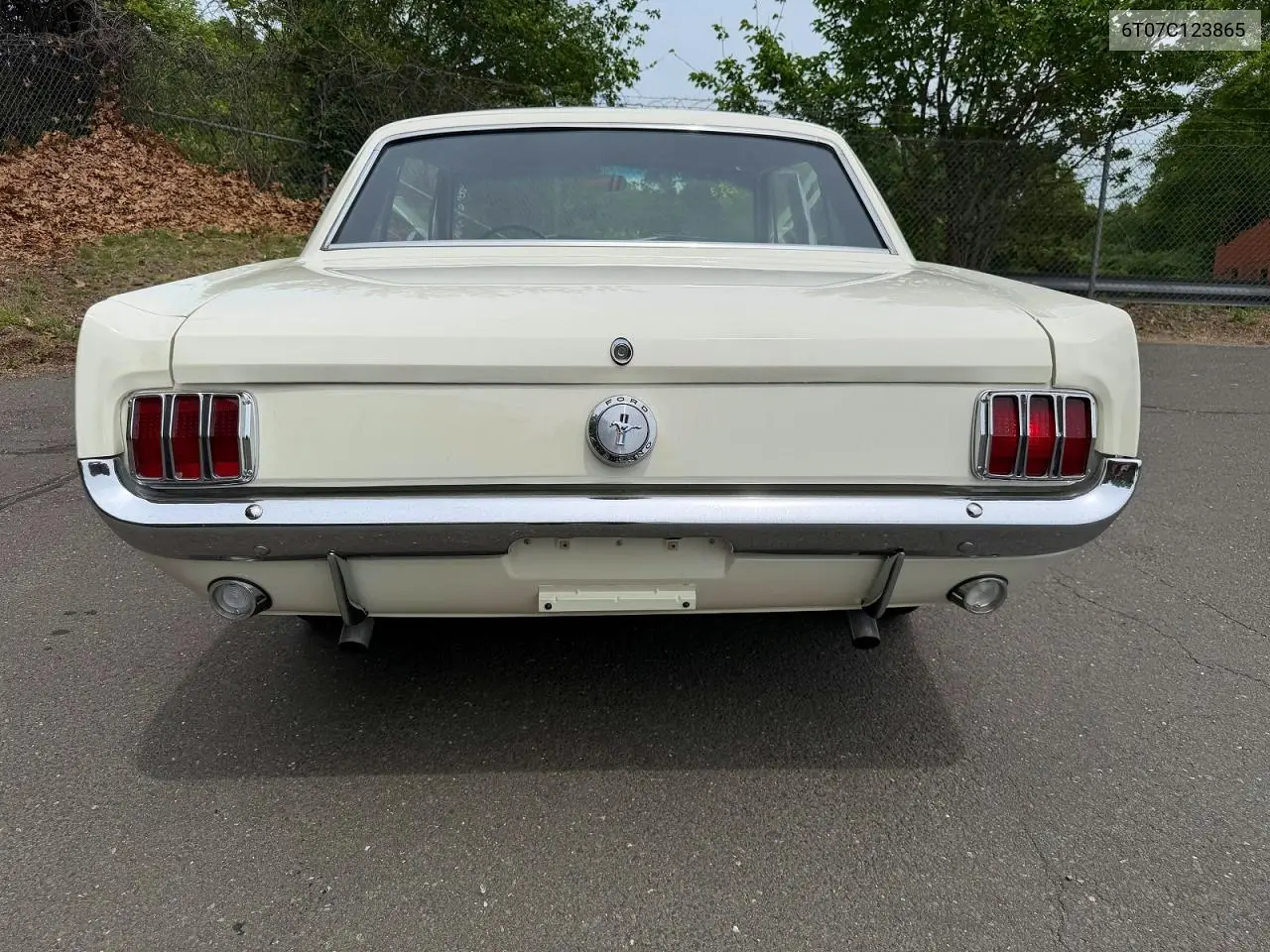 1966 Ford Mustang VIN: 6T07C123865 Lot: 55461876