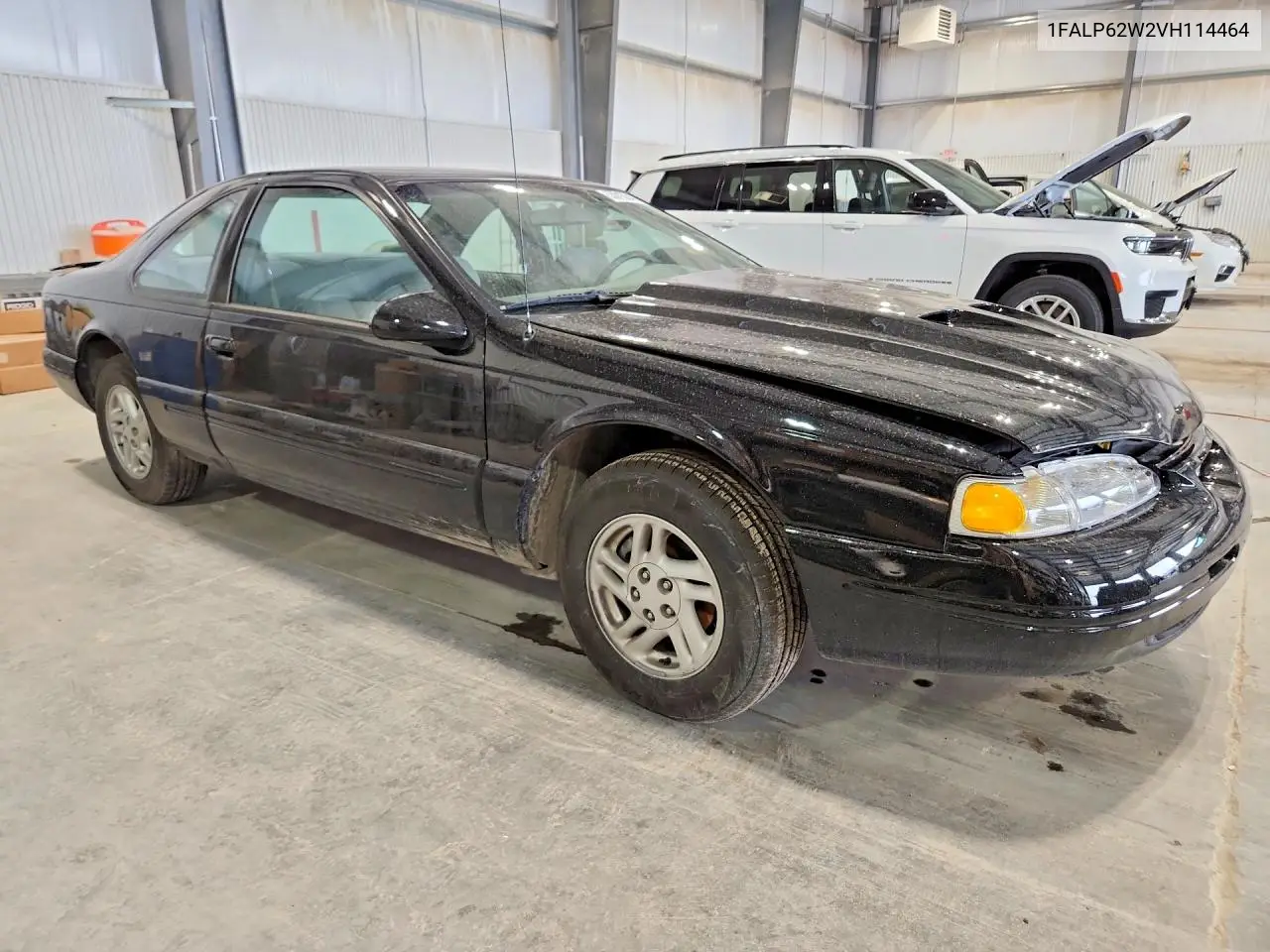1997 Ford Thunderbird Lx VIN: 1FALP62W2VH114464 Lot: 53915246