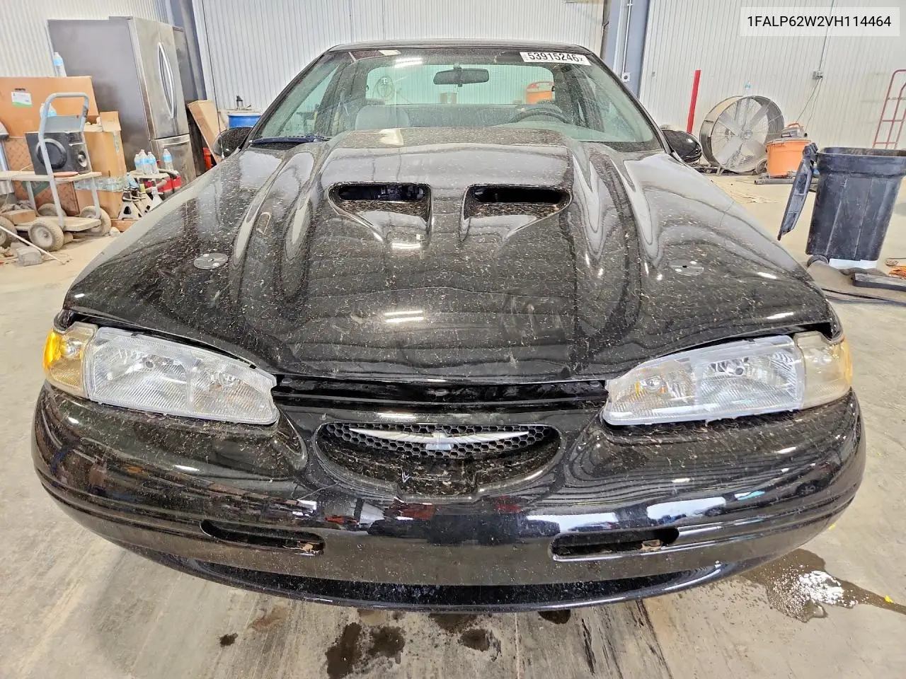 1997 Ford Thunderbird Lx VIN: 1FALP62W2VH114464 Lot: 53915246