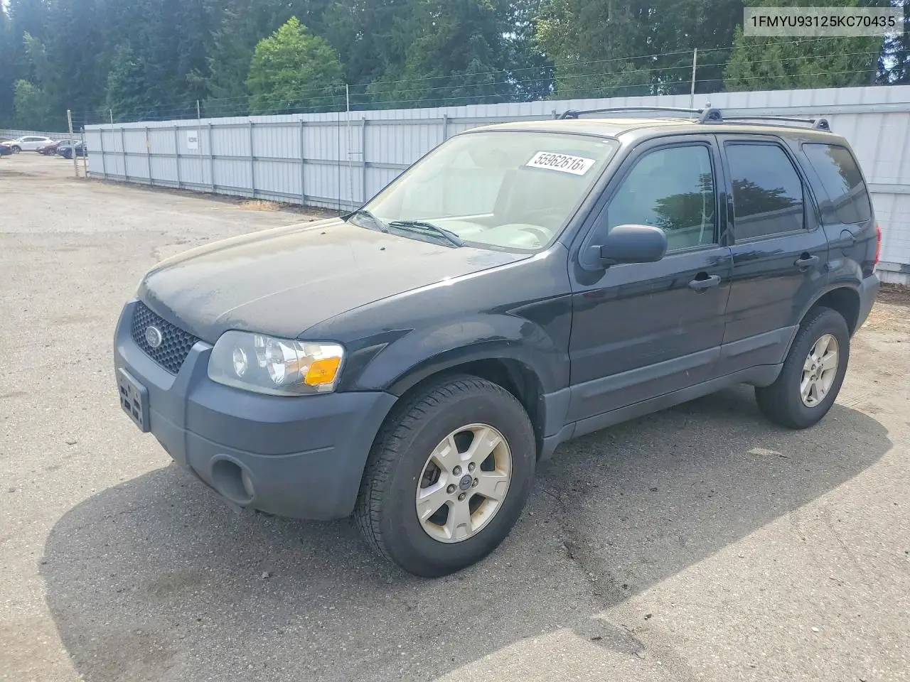 2005 Ford Escape Xlt VIN: 1FMYU93125KC70435 Lot: 55962616