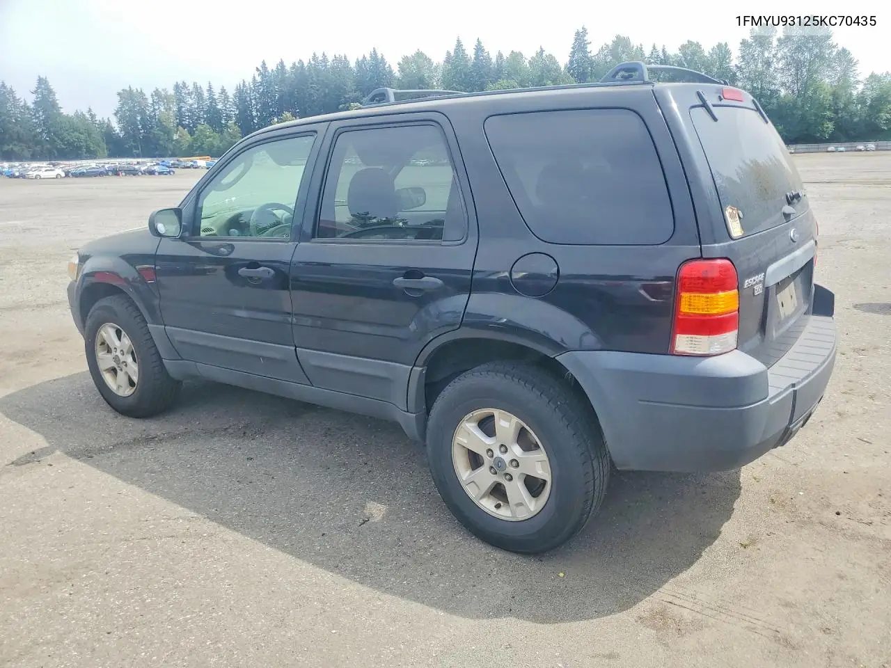 2005 Ford Escape Xlt VIN: 1FMYU93125KC70435 Lot: 55962616