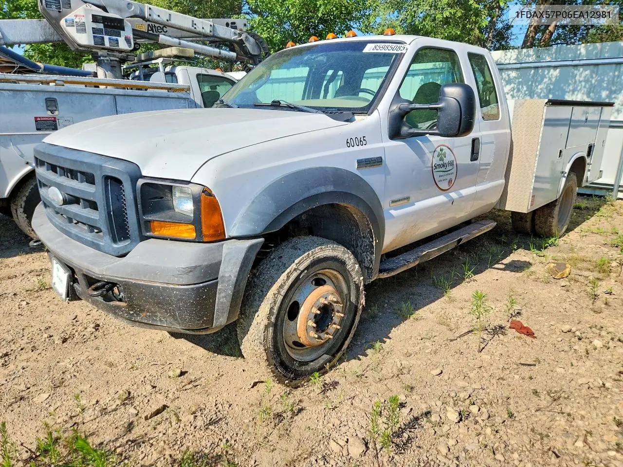 2006 Ford F550 Super Duty VIN: 1FDAX57P06EA12981 Lot: 85985085