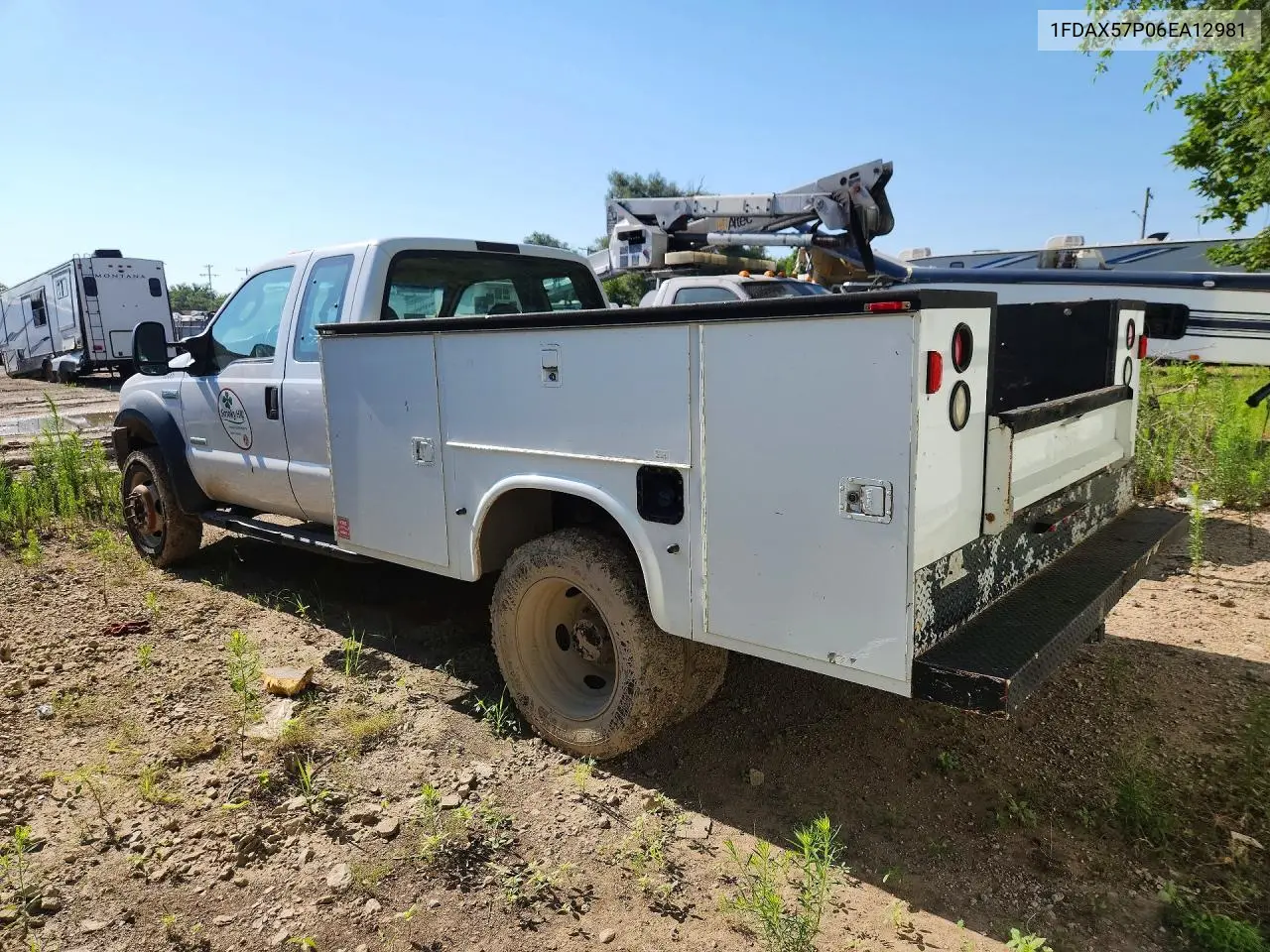 2006 Ford F550 Super Duty VIN: 1FDAX57P06EA12981 Lot: 85985085