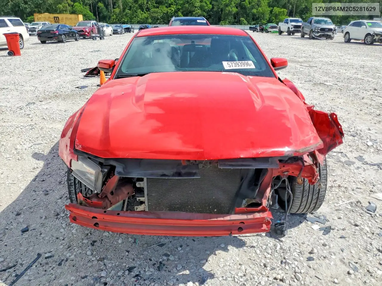 2012 Ford Mustang VIN: 1ZVBP8AM2C5281629 Lot: 57393996