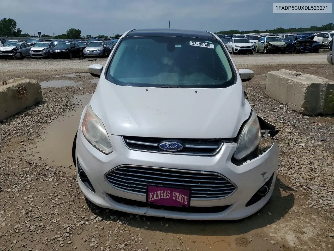 2013 Ford C-Max Premium VIN: 1FADP5CUXDL523271 Lot: 53796906