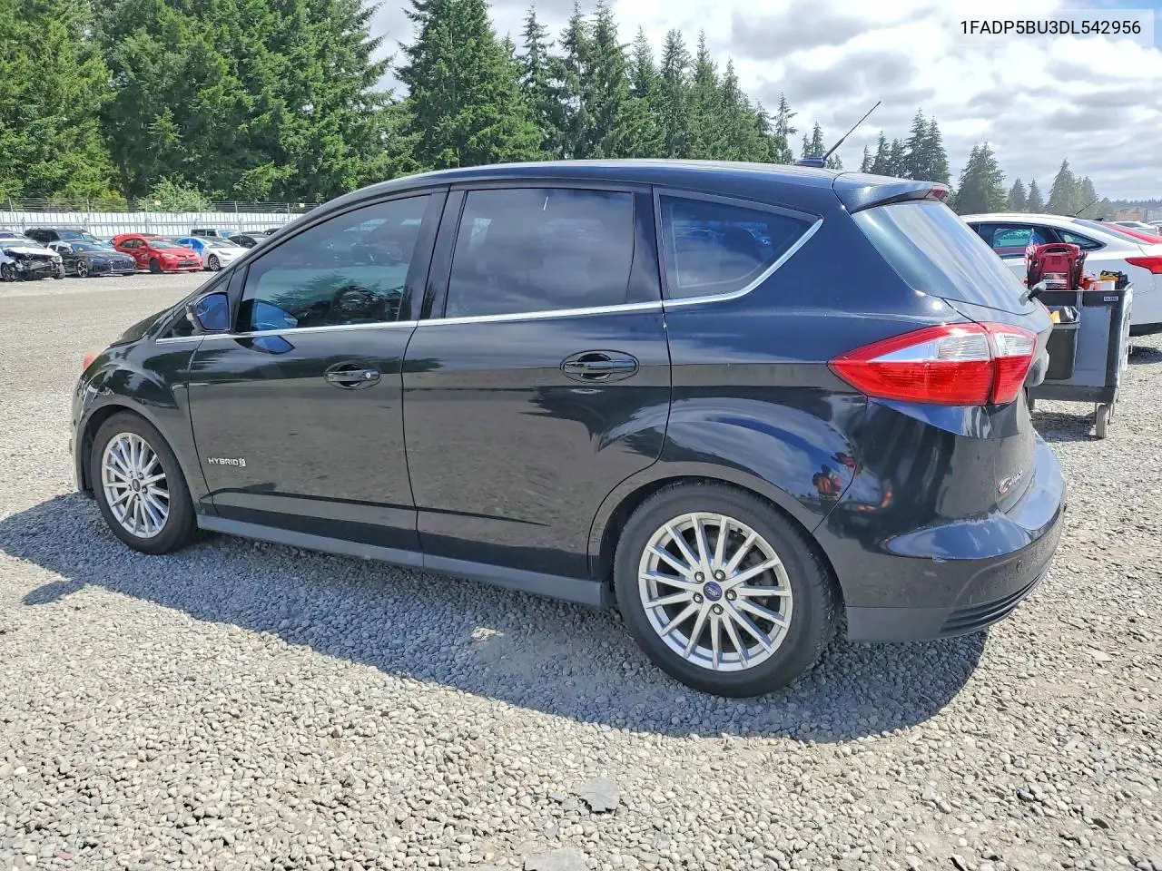 2013 Ford C-Max Sel VIN: 1FADP5BU3DL542956 Lot: 59019206