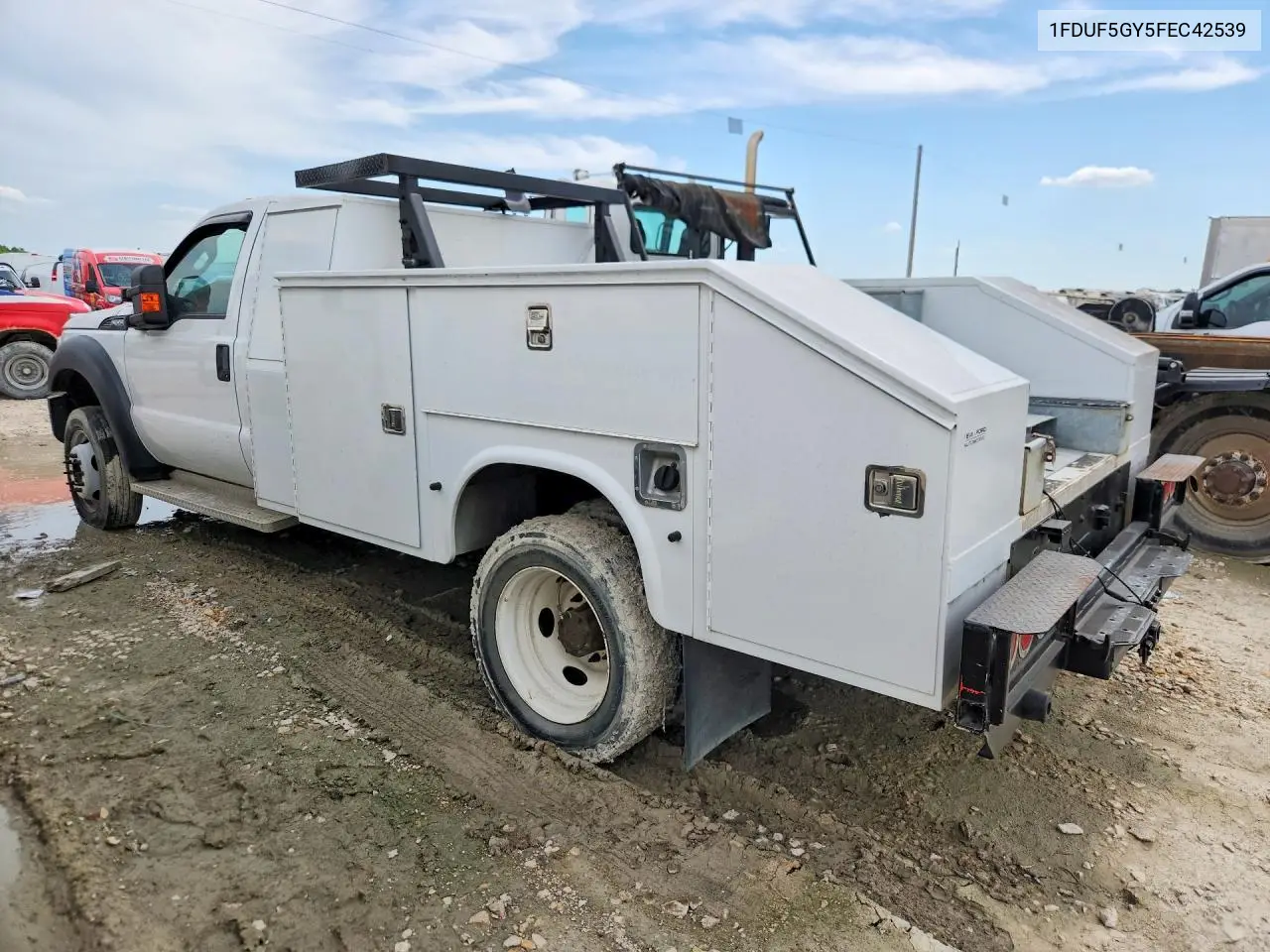 2015 Ford F550 Super Duty VIN: 1FDUF5GY5FEC42539 Lot: 55187936