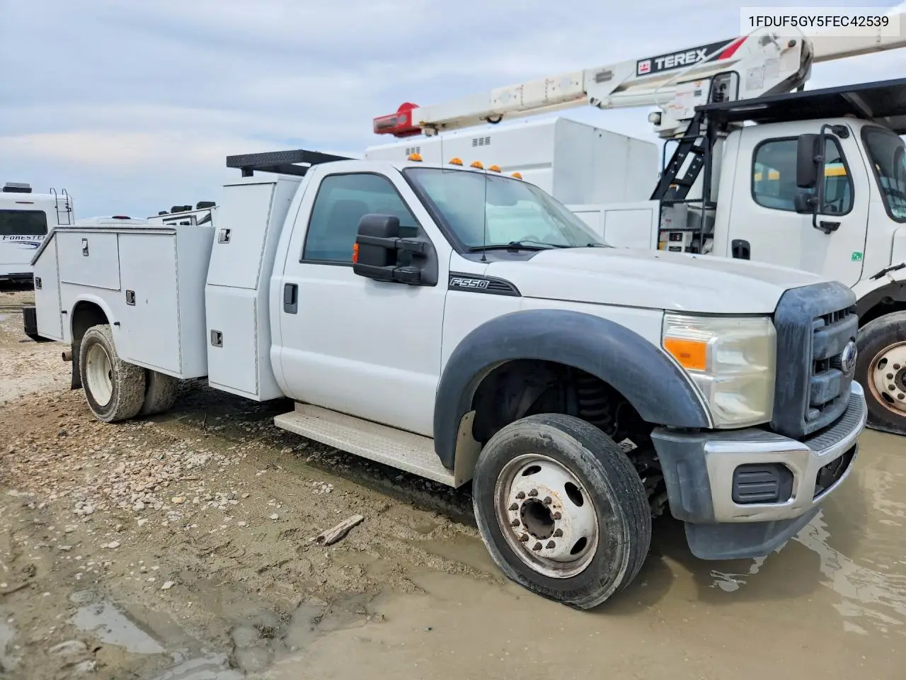 2015 Ford F550 Super Duty VIN: 1FDUF5GY5FEC42539 Lot: 55187936