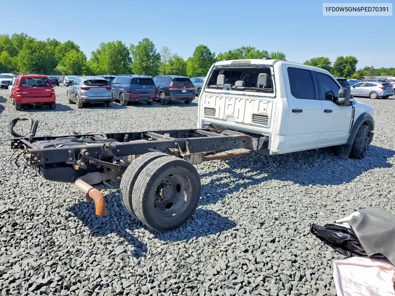 2023 Ford F550 Super Duty VIN: 1FD0W5GN6PED70391 Lot: 54697636