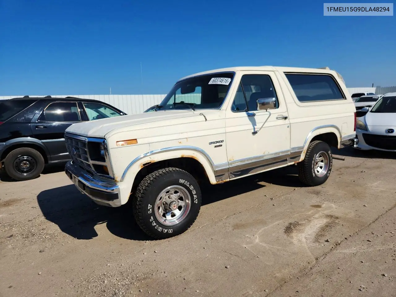 1983 Ford Bronco U100 VIN: 1FMEU15G9DLA48294 Lot: 60374616
