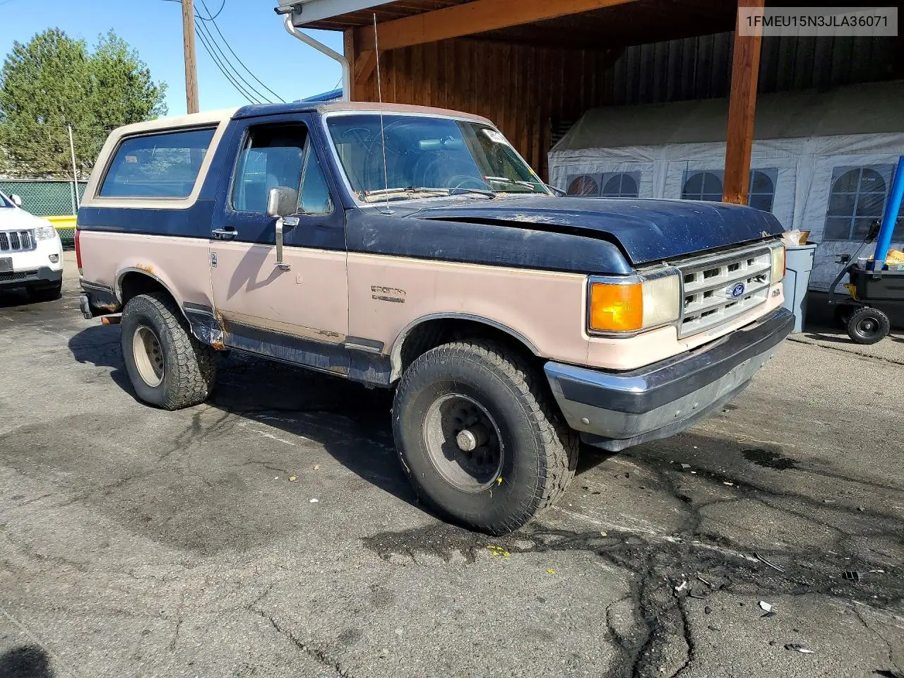 1988 Ford Bronco U100 VIN: 1FMEU15N3JLA36071 Lot: 49831746
