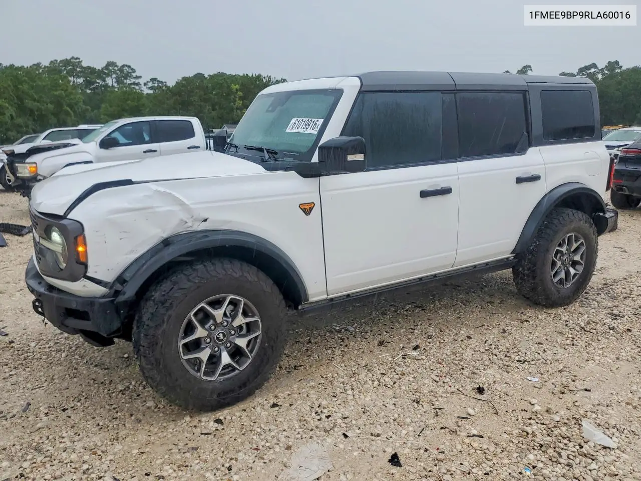 2024 Ford Bronco Badlands VIN: 1FMEE9BP9RLA60016 Lot: 61019916