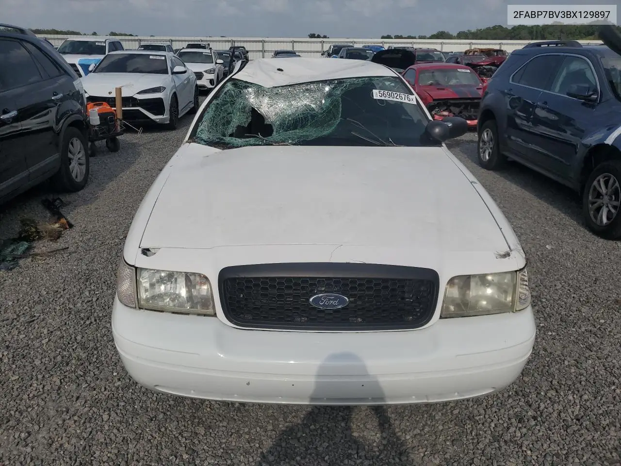 2011 Ford Crown Vic VIN: 2FABP7BV3BX129897 Lot: 56902676