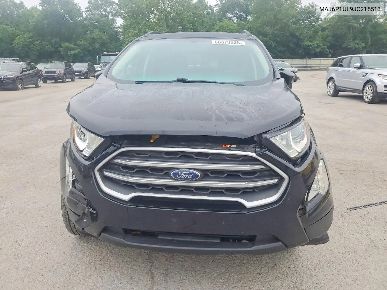 2018 Ford Ecosport Se VIN: MAJ6P1UL9JC215513 Lot: 60373526