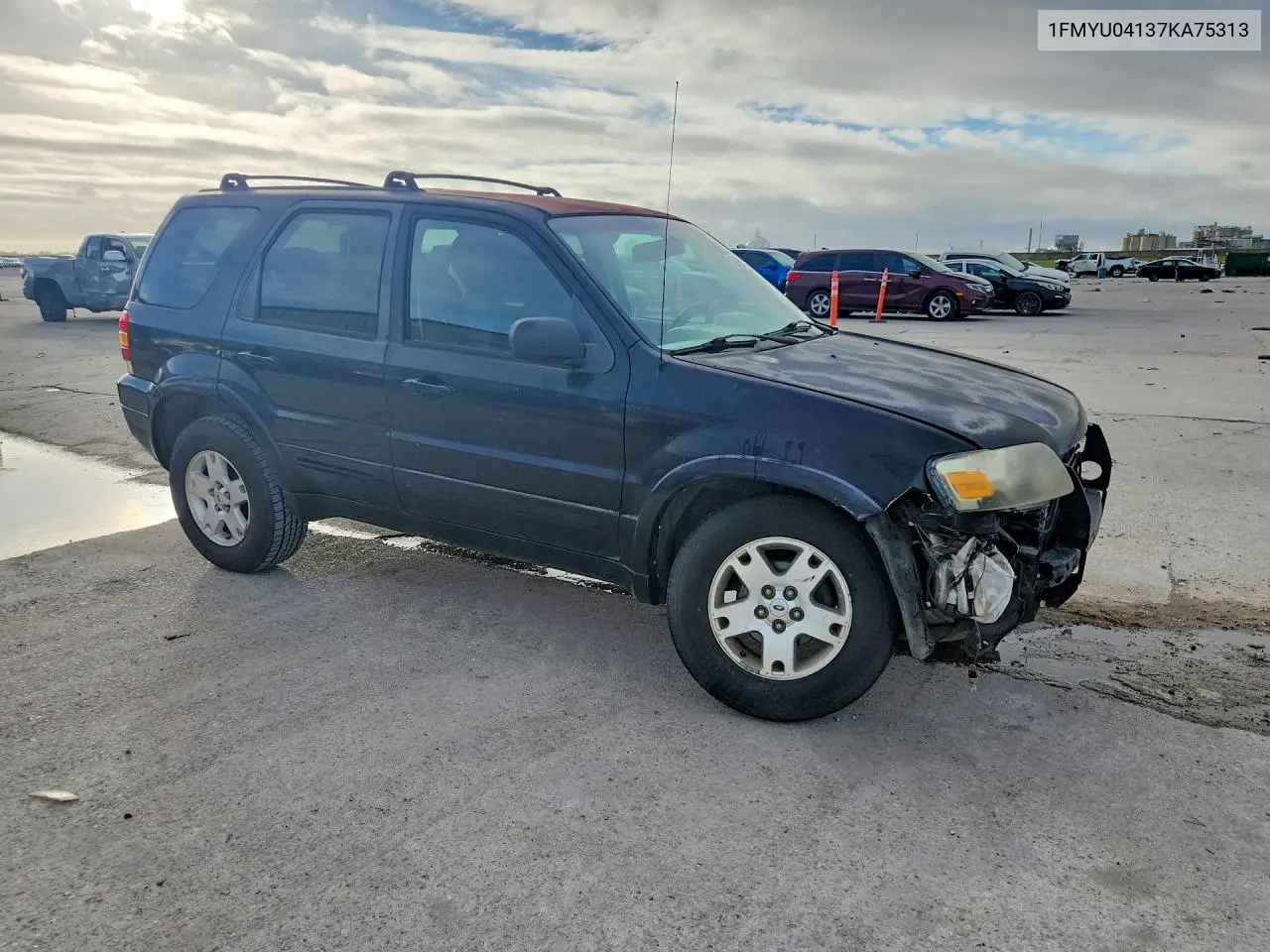2007 Ford Escape Limited VIN: 1FMYU04137KA75313 Lot: 62069016