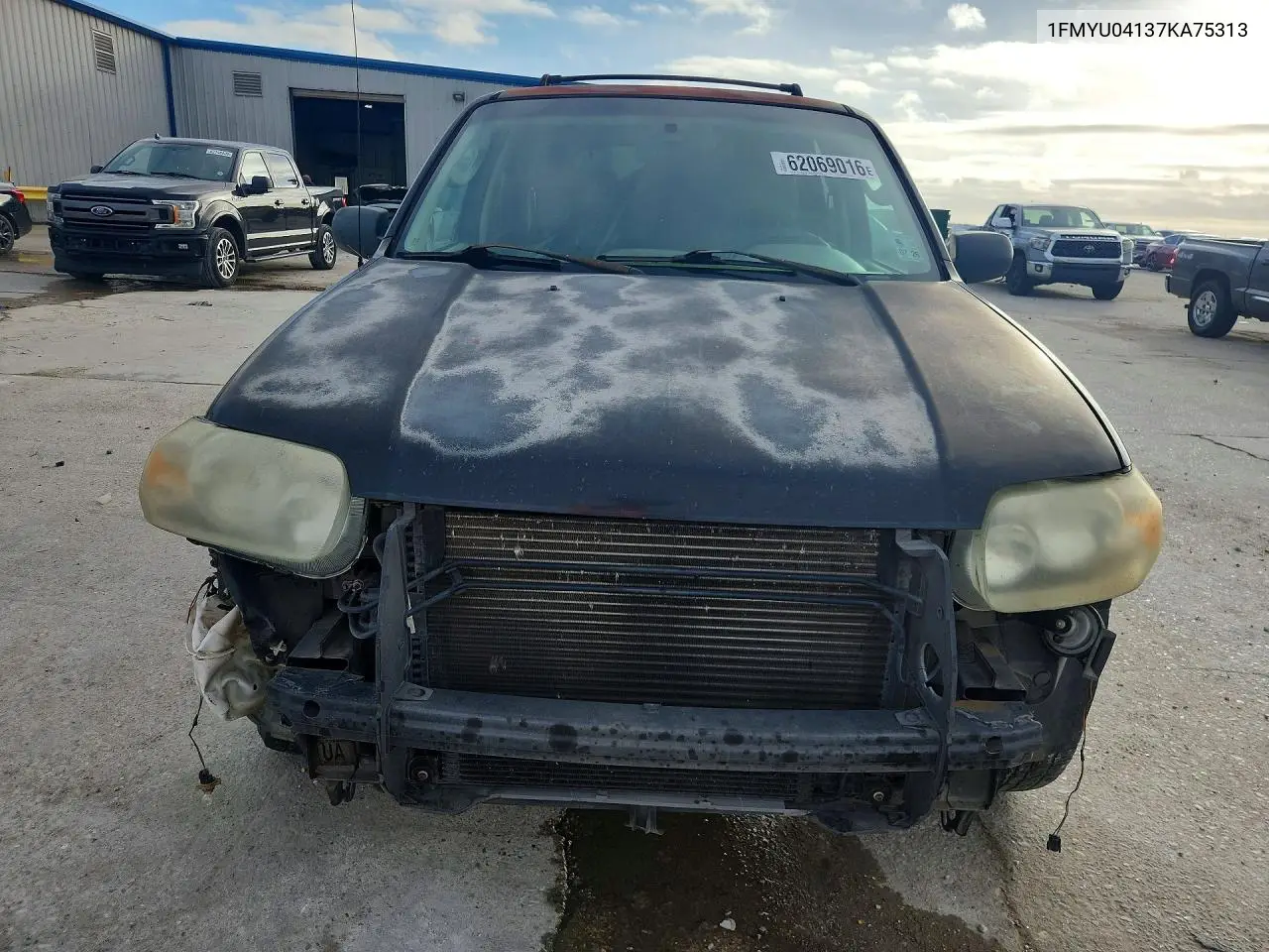 2007 Ford Escape Limited VIN: 1FMYU04137KA75313 Lot: 62069016