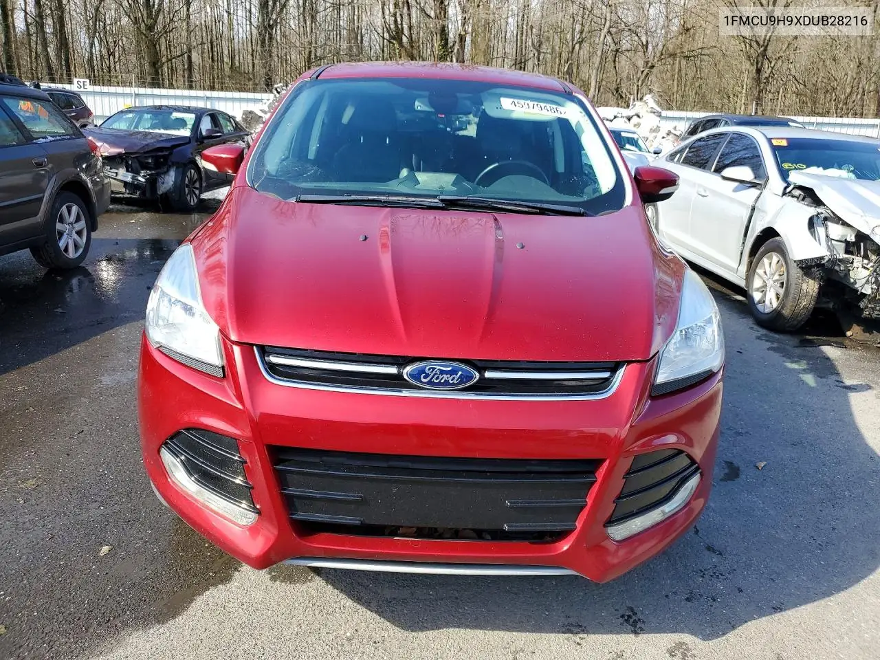 1FMCU9H9XDUB28216 2013 Ford Escape Sel