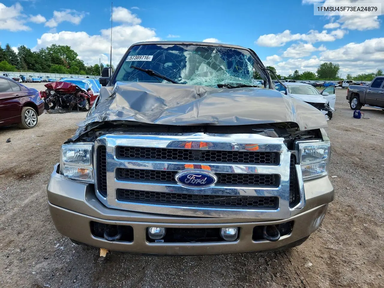 2003 Ford Excursion Eddie Bauer VIN: 1FMSU45F73EA24879 Lot: 57389716