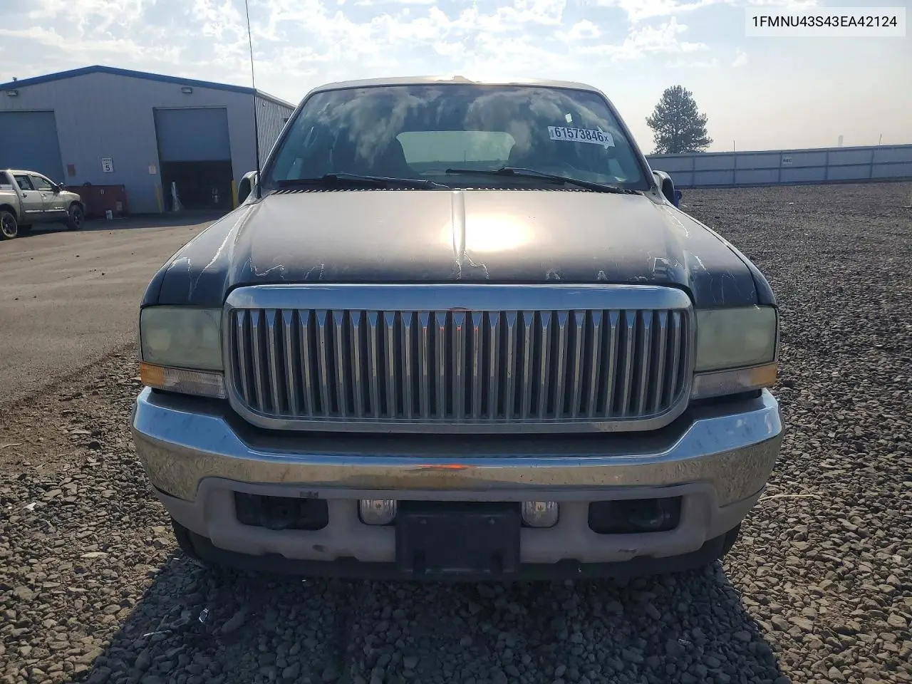 2003 Ford Excursion Limited VIN: 1FMNU43S43EA42124 Lot: 61573846