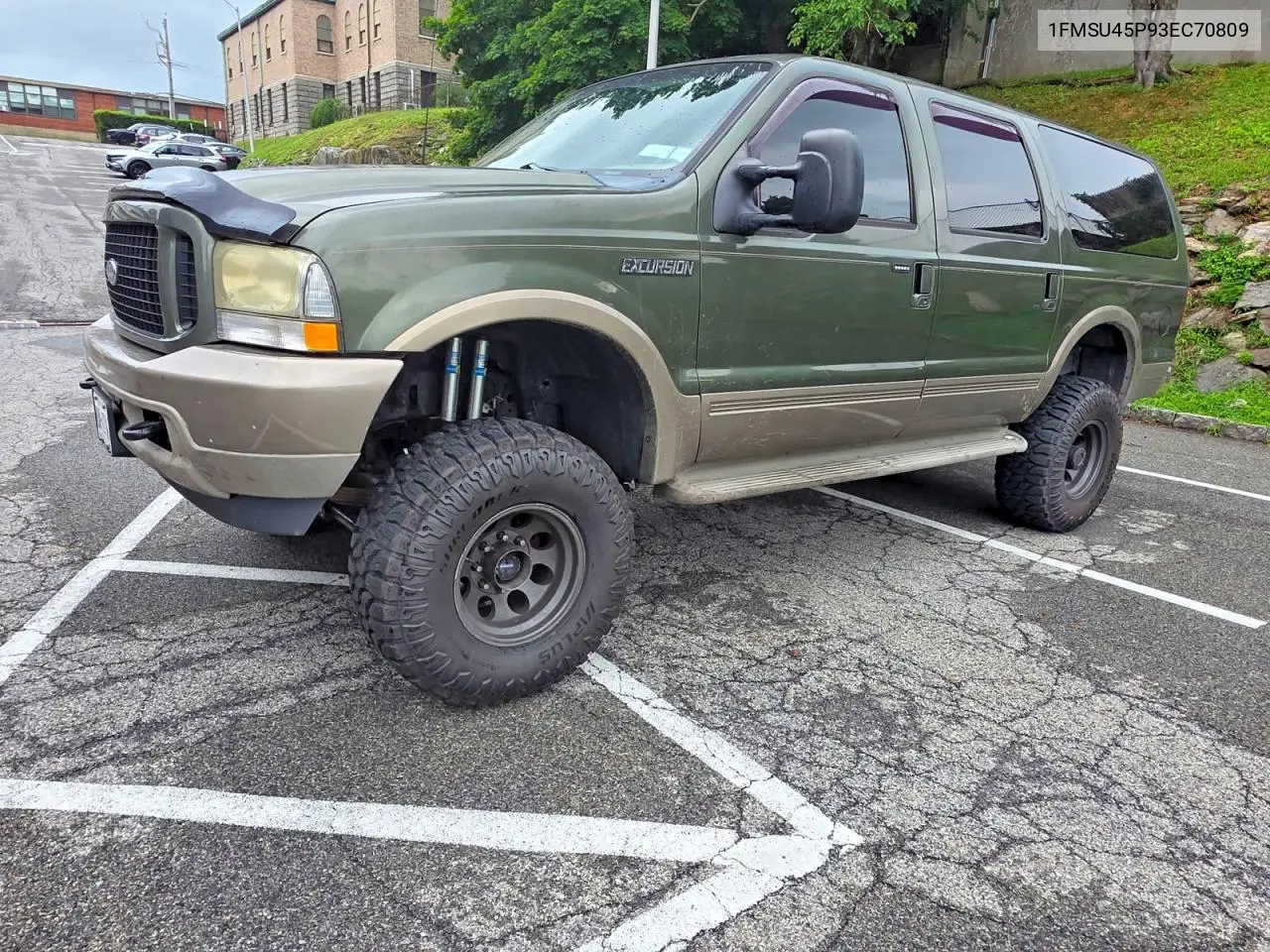 2003 Ford Excursion Eddie Bauer VIN: 1FMSU45P93EC70809 Lot: 62348006