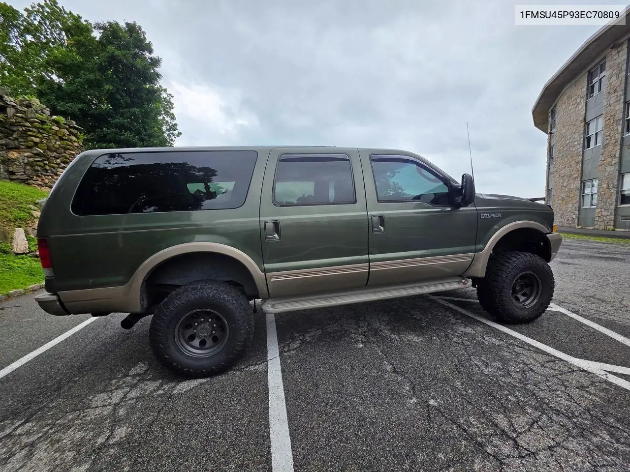 2003 Ford Excursion Eddie Bauer VIN: 1FMSU45P93EC70809 Lot: 62348006