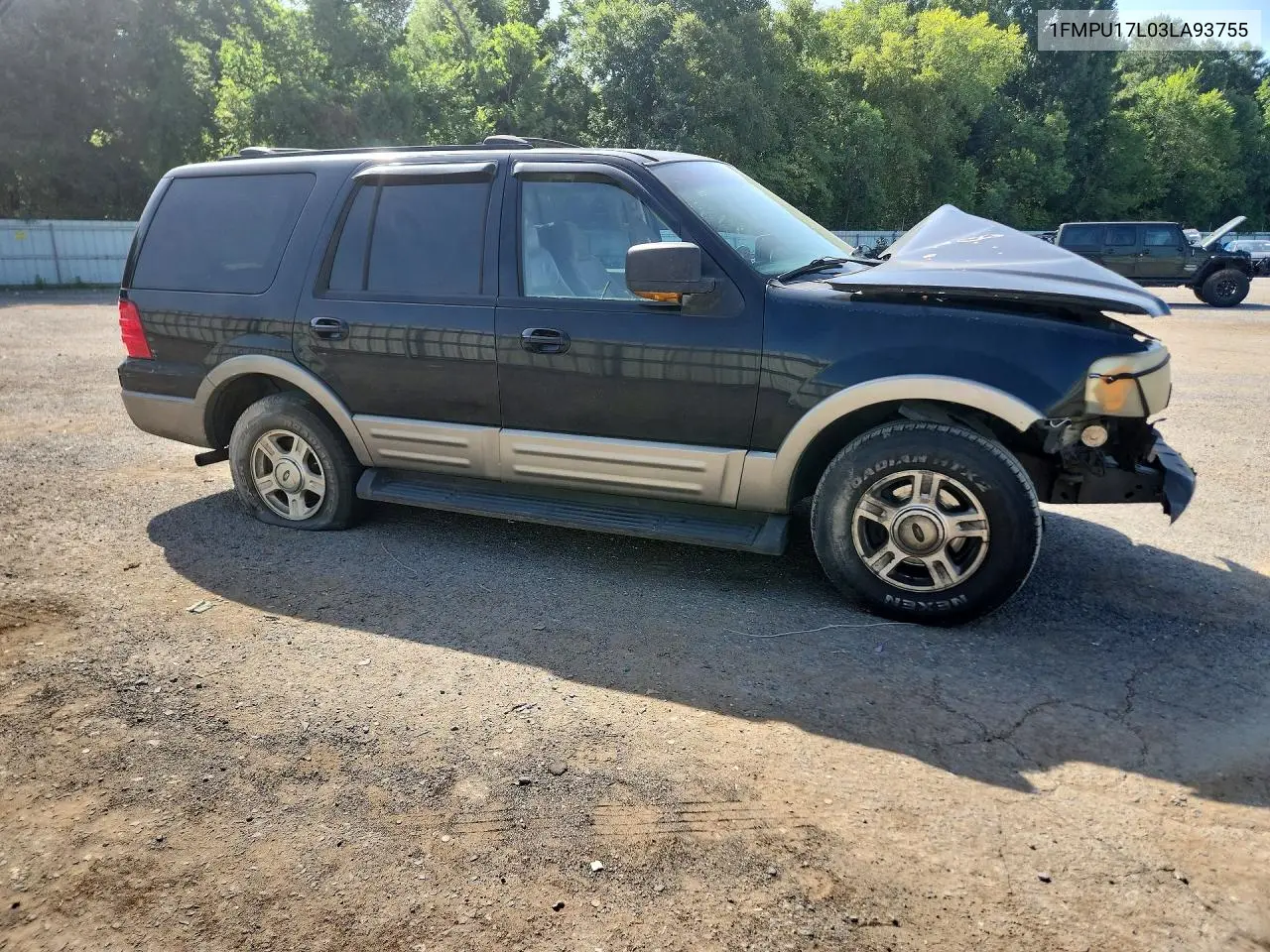2003 Ford Expedition Eddie Bauer VIN: 1FMPU17L03LA93755 Lot: 61018946