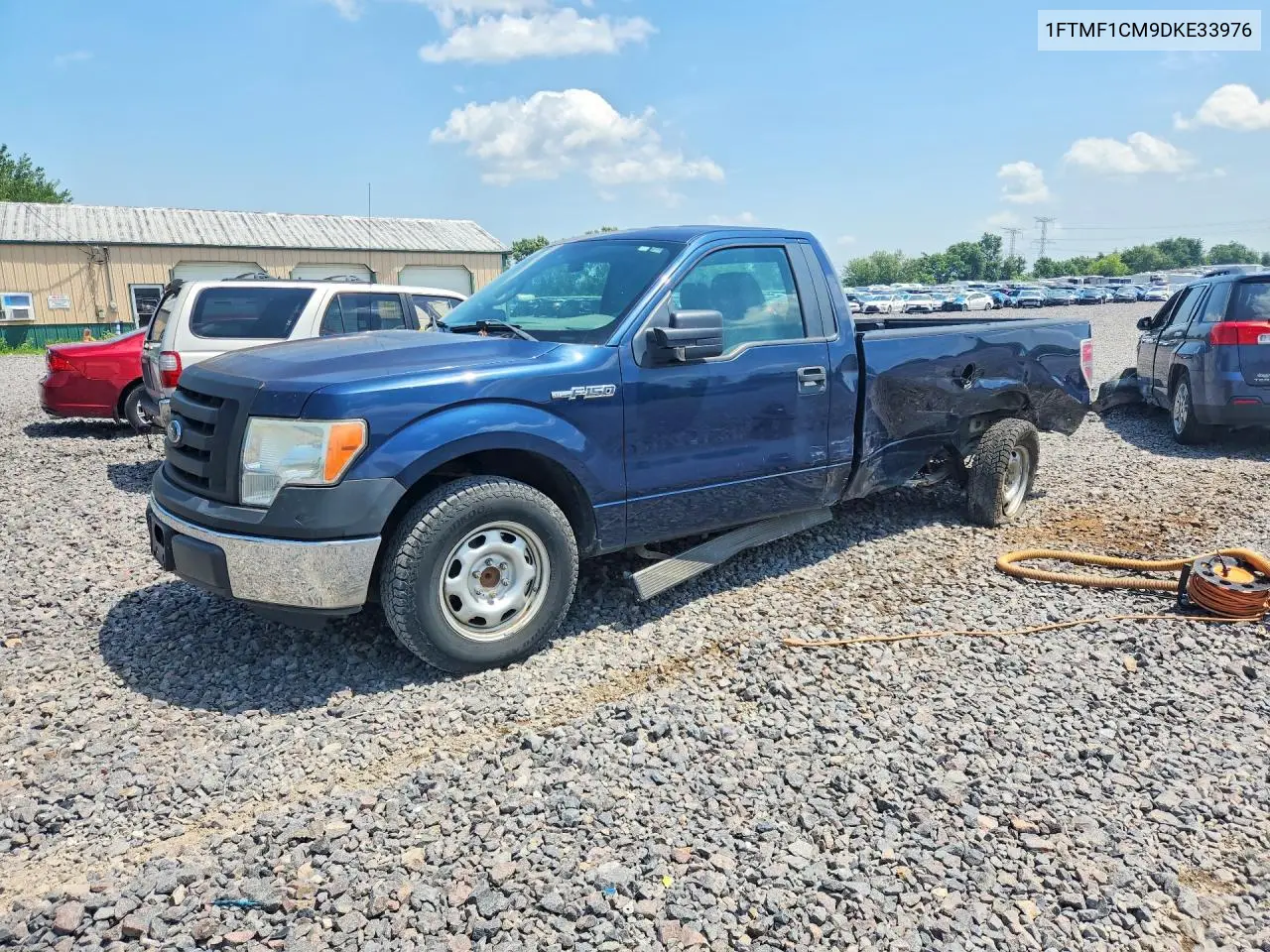 2013 Ford F150 VIN: 1FTMF1CM9DKE33976 Lot: 61955166