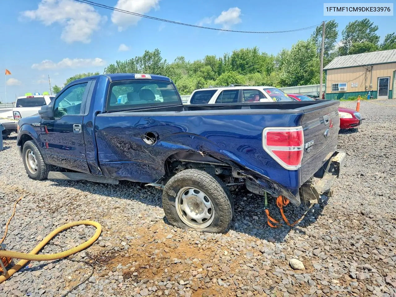 2013 Ford F150 VIN: 1FTMF1CM9DKE33976 Lot: 61955166