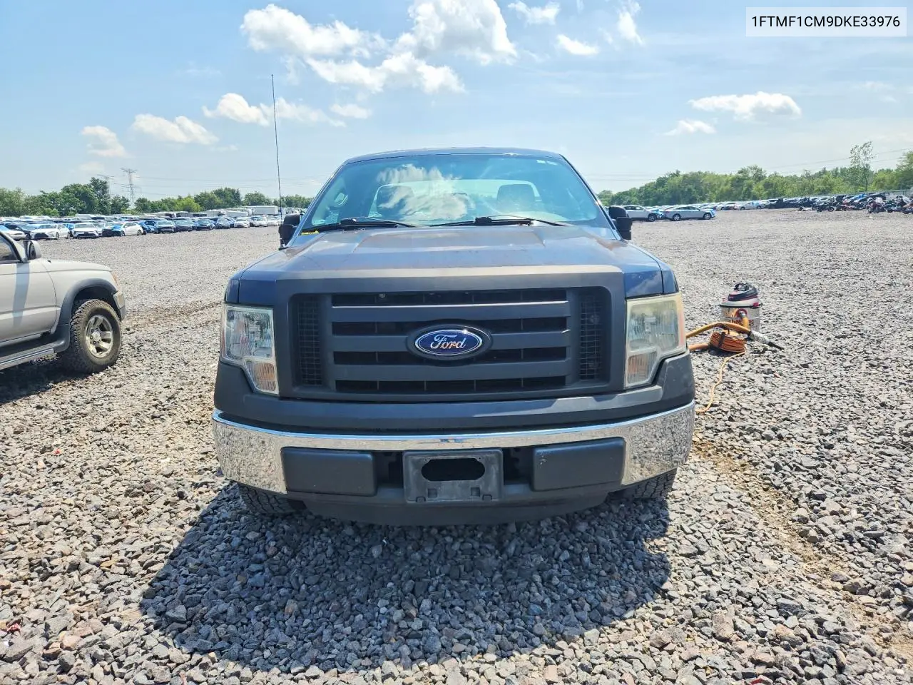 2013 Ford F150 VIN: 1FTMF1CM9DKE33976 Lot: 61955166