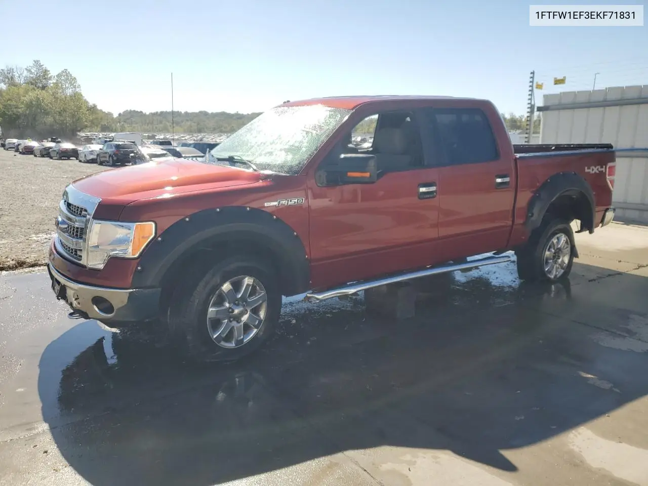 1FTFW1EF3EKF71831 2014 Ford F150 Supercrew