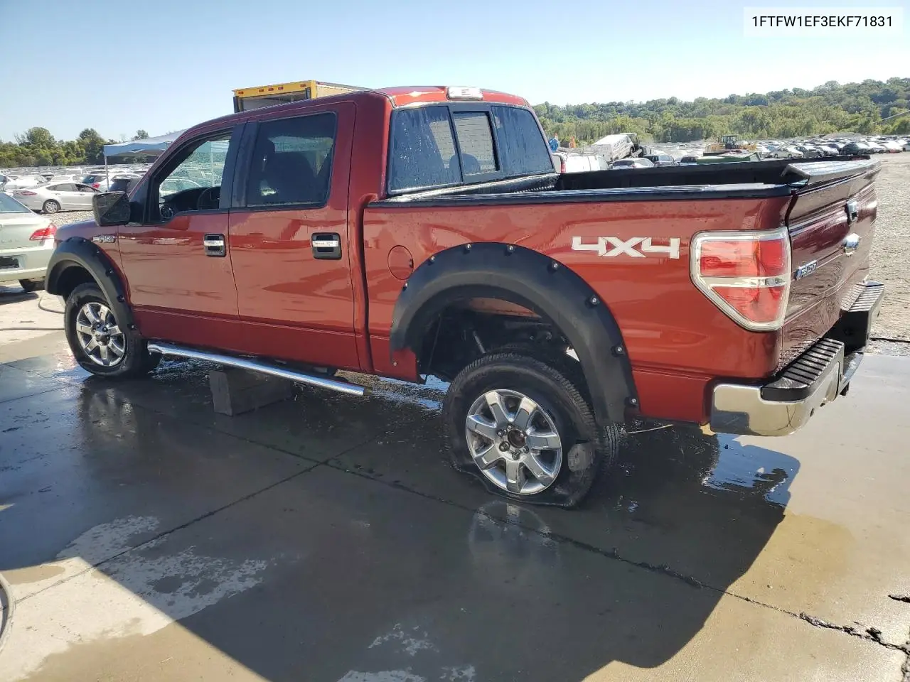 1FTFW1EF3EKF71831 2014 Ford F150 Supercrew
