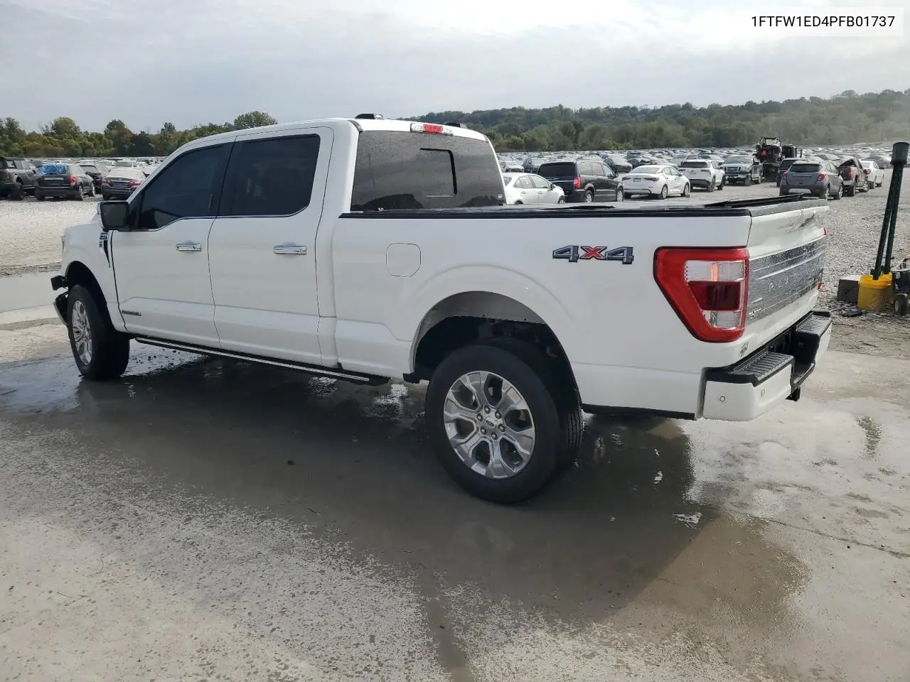 1FTFW1ED4PFB01737 2023 Ford F150 Supercrew