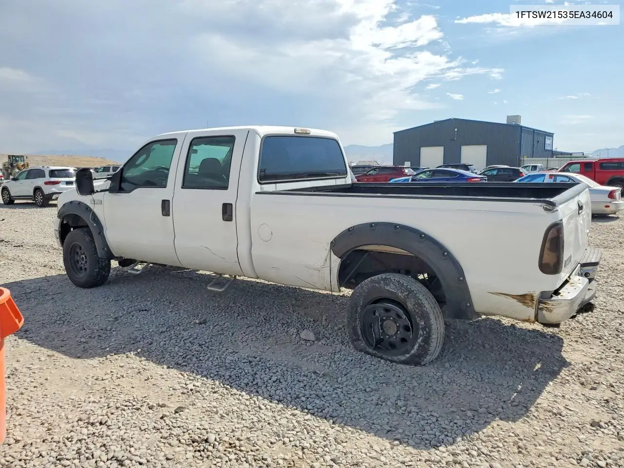 2005 Ford F250 Super Duty VIN: 1FTSW21535EA34604 Lot: 61978836
