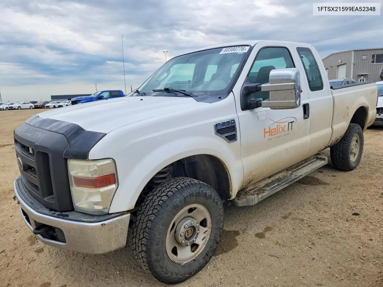 2009 Ford F250 Super Duty VIN: 1FTSX21599EA52348 Lot: 60380776