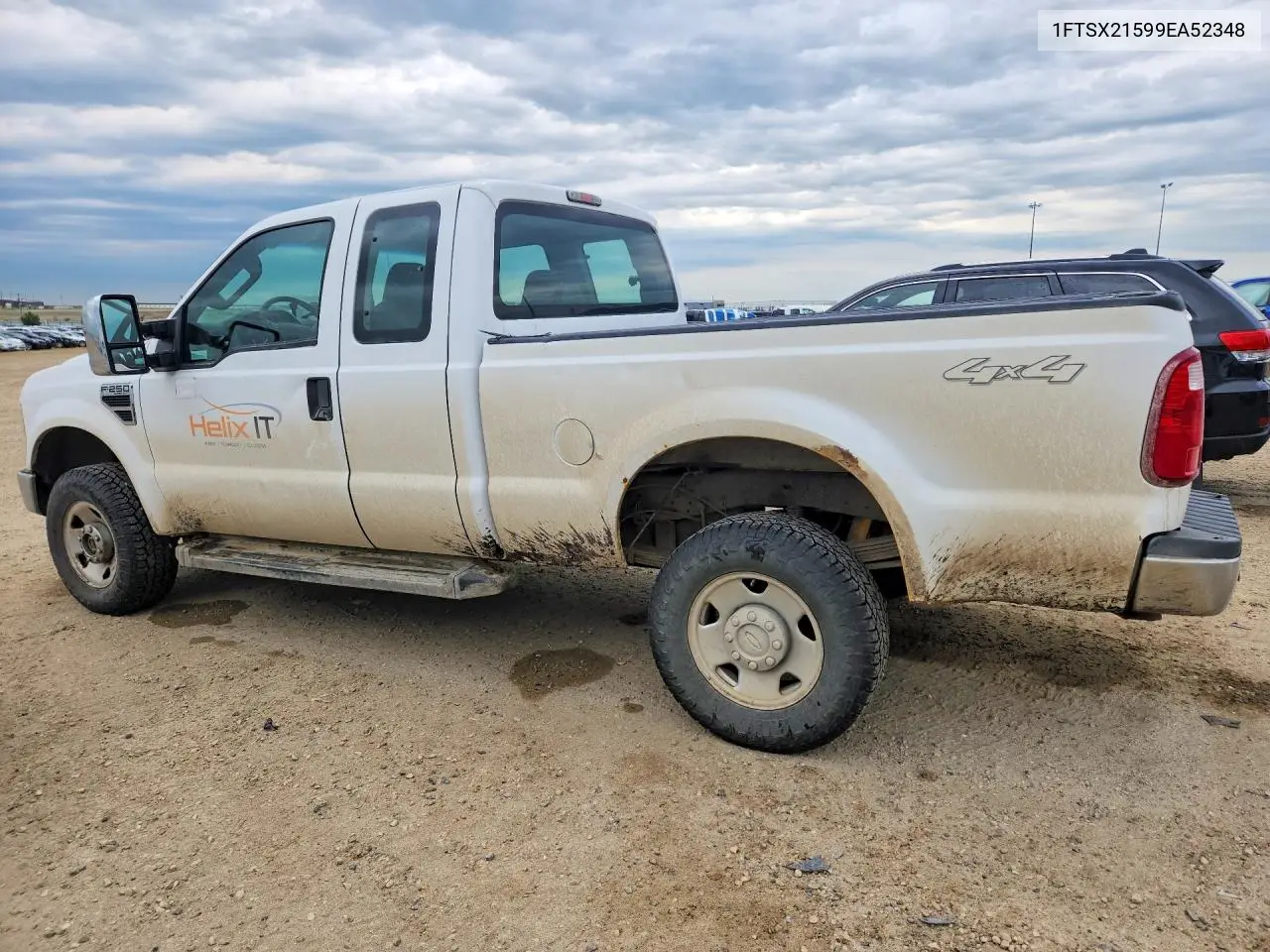2009 Ford F250 Super Duty VIN: 1FTSX21599EA52348 Lot: 60380776