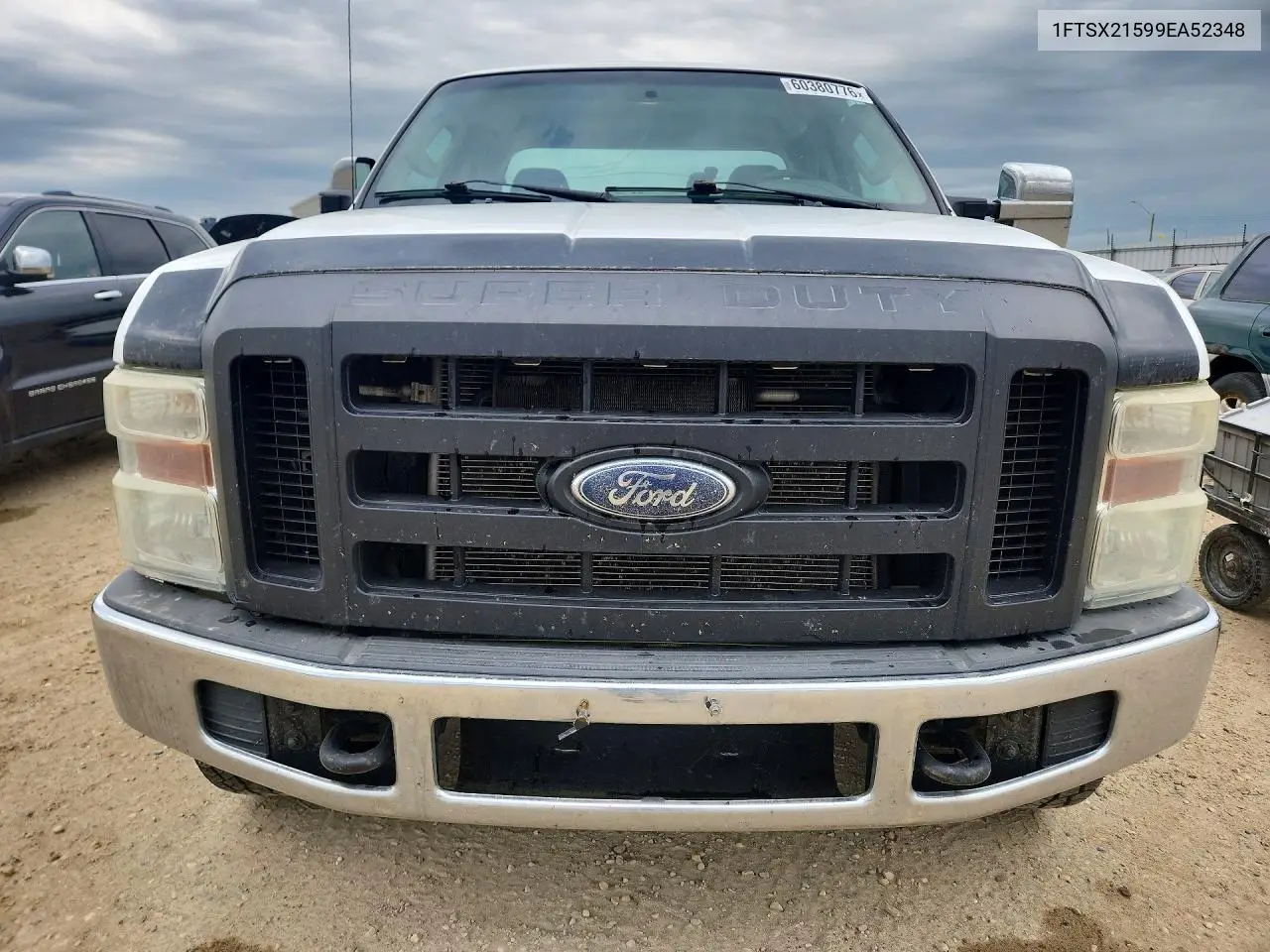 2009 Ford F250 Super Duty VIN: 1FTSX21599EA52348 Lot: 60380776