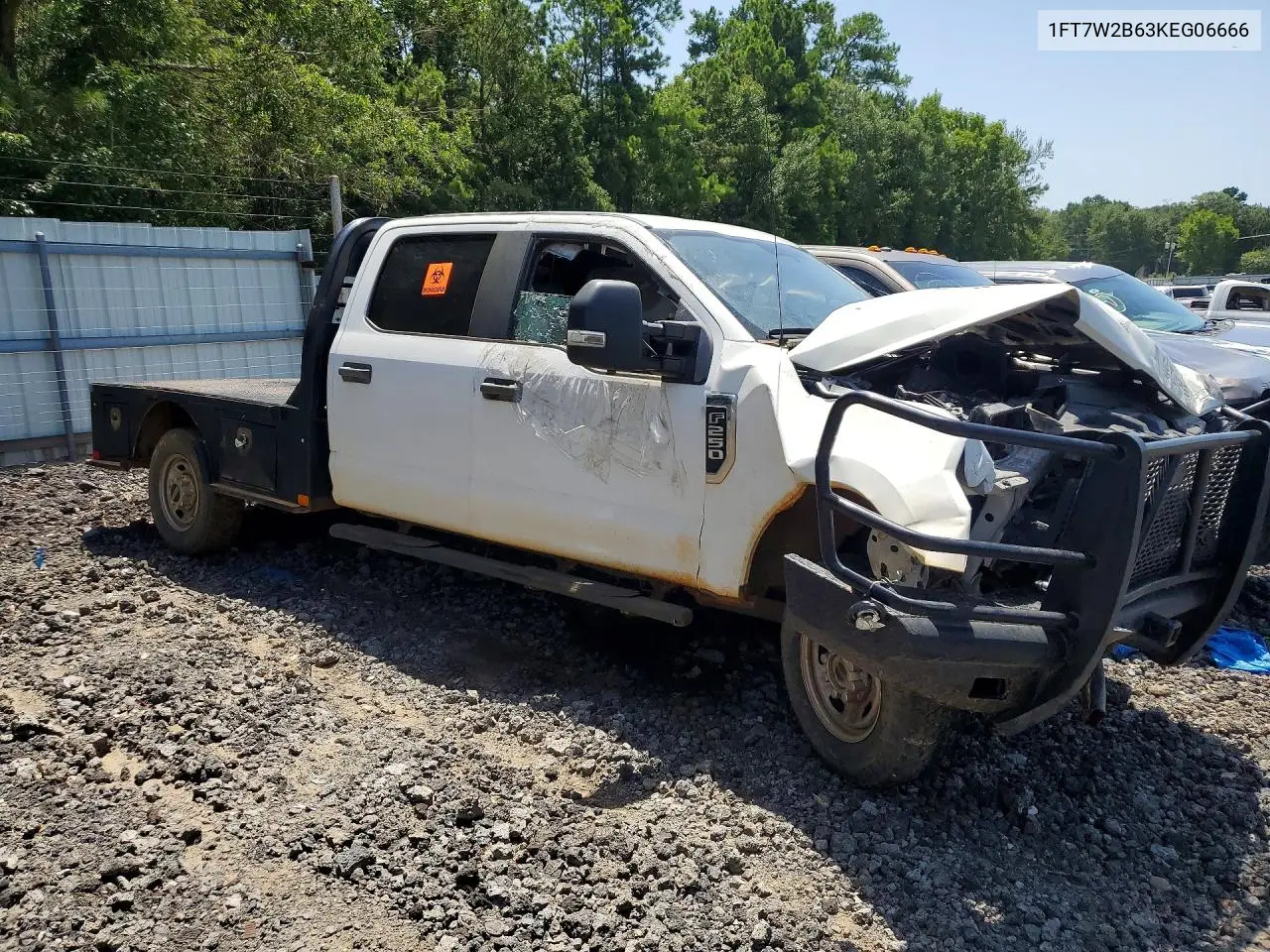 2019 Ford F250 Super Duty VIN: 1FT7W2B63KEG06666 Lot: 61754046