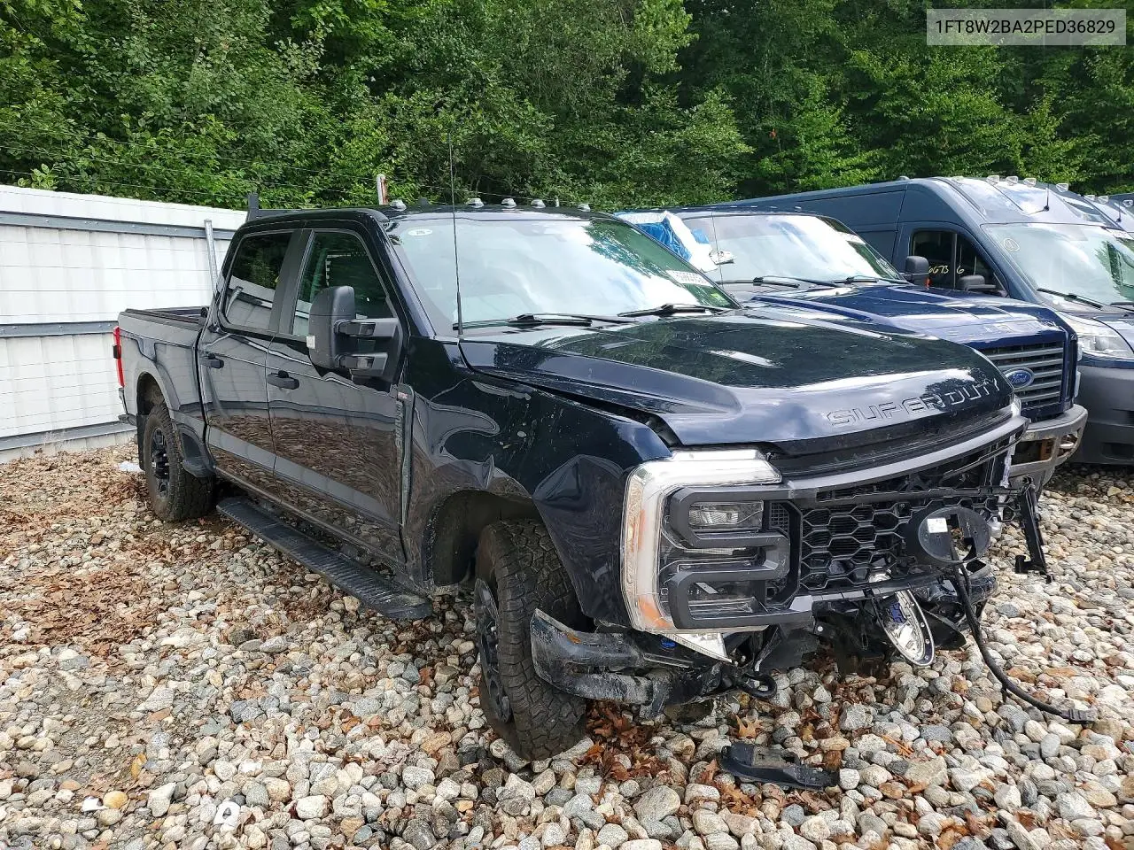 2023 Ford F250 Super Duty VIN: 1FT8W2BA2PED36829 Lot: 60863856
