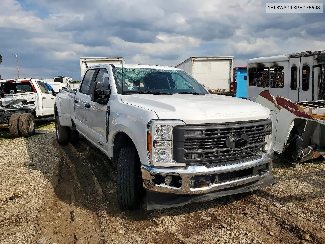 2023 Ford F350 Super Duty VIN: 1FT8W3DTXPED75608 Lot: 51450386