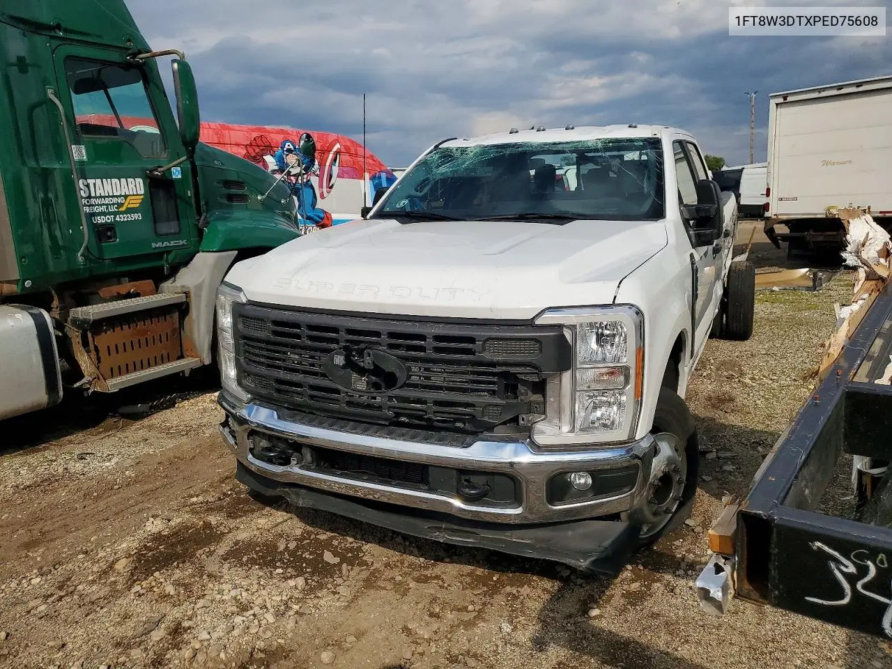 2023 Ford F350 Super Duty VIN: 1FT8W3DTXPED75608 Lot: 51450386