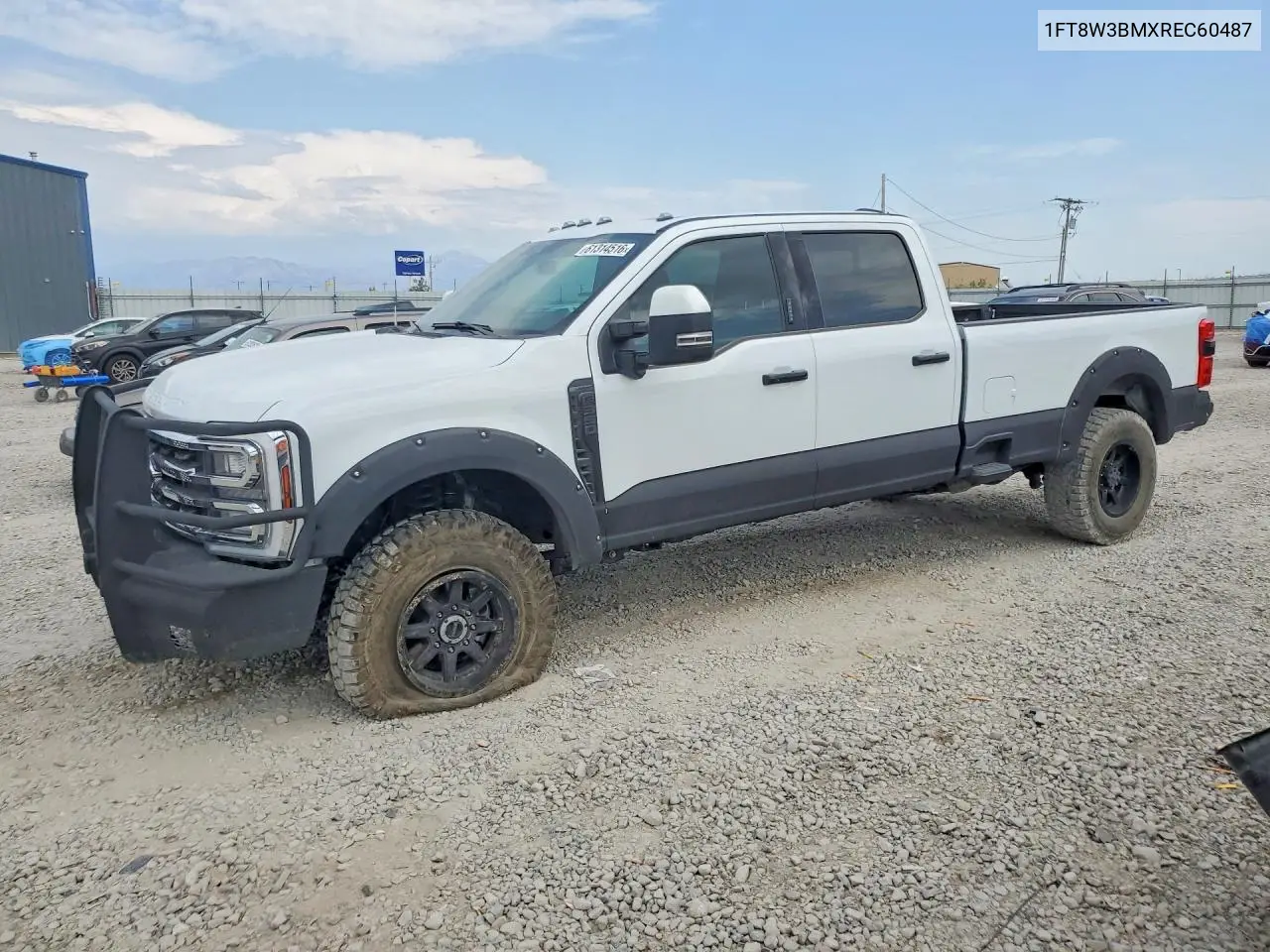 2024 Ford F350 Super Duty VIN: 1FT8W3BMXREC60487 Lot: 61314516