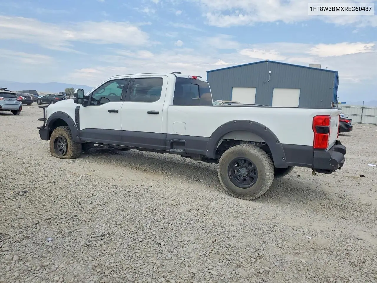 2024 Ford F350 Super Duty VIN: 1FT8W3BMXREC60487 Lot: 61314516