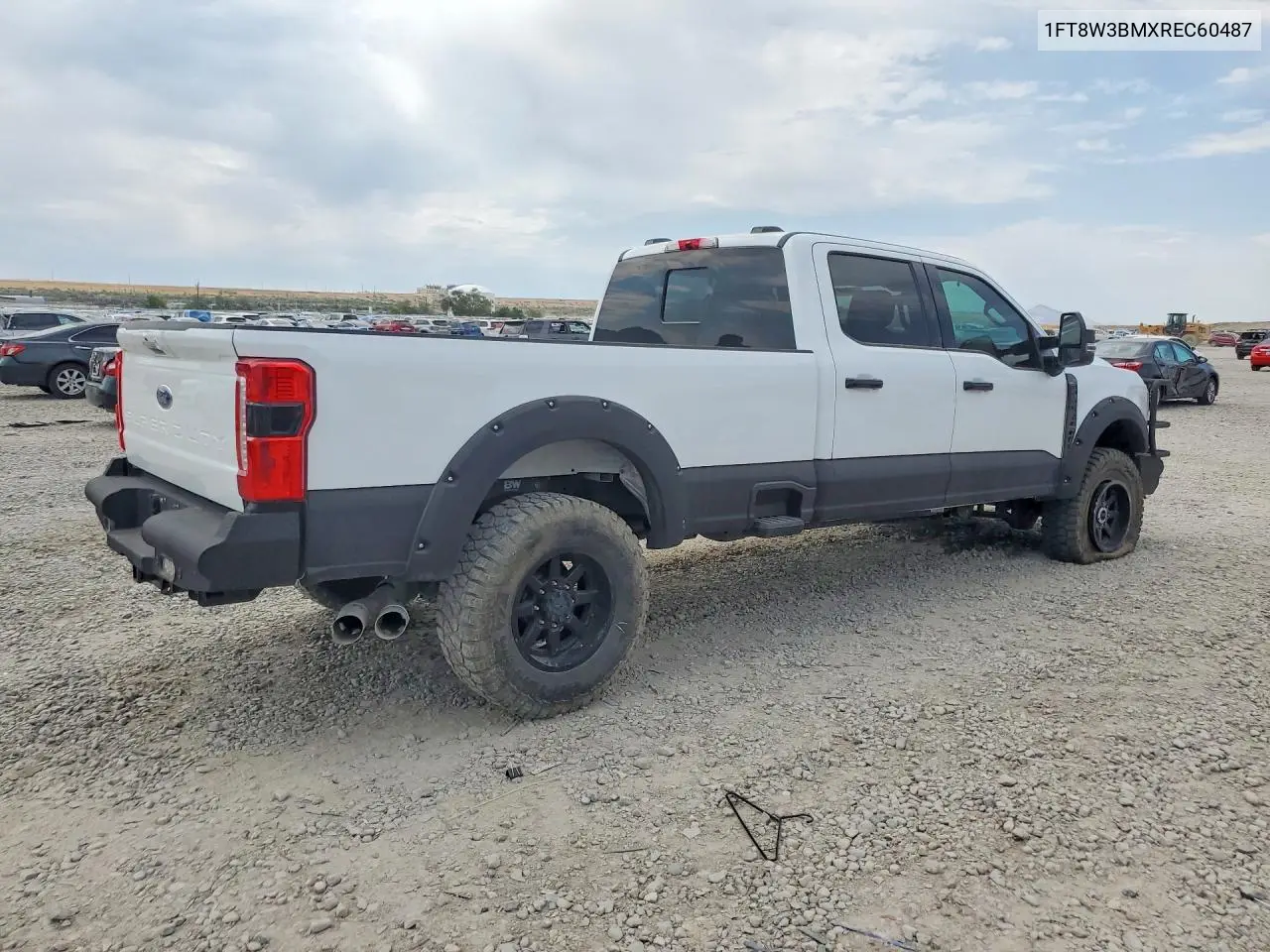 2024 Ford F350 Super Duty VIN: 1FT8W3BMXREC60487 Lot: 61314516