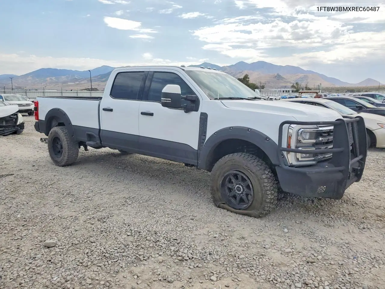 2024 Ford F350 Super Duty VIN: 1FT8W3BMXREC60487 Lot: 61314516