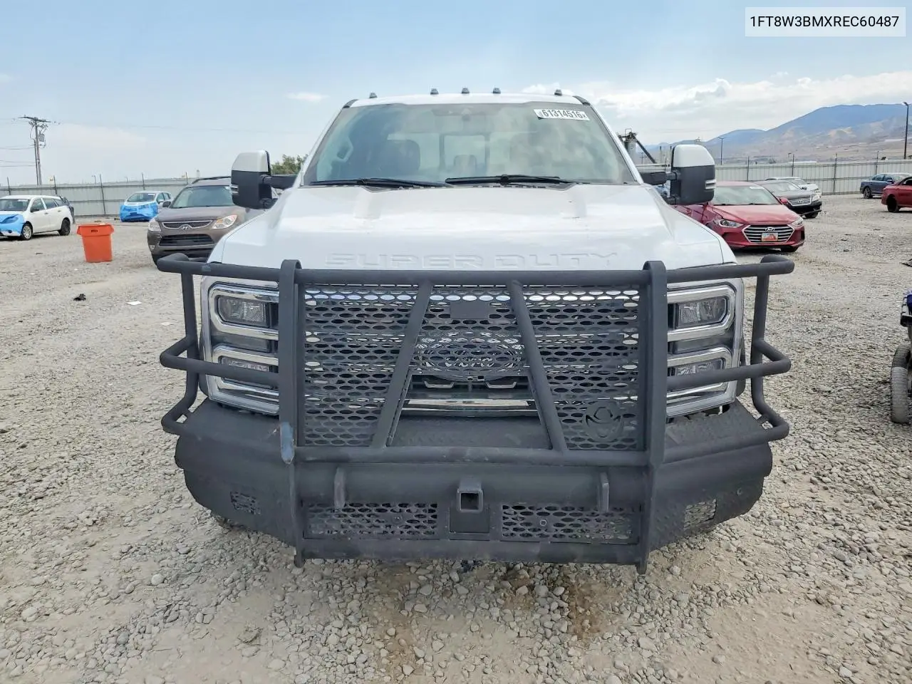 2024 Ford F350 Super Duty VIN: 1FT8W3BMXREC60487 Lot: 61314516