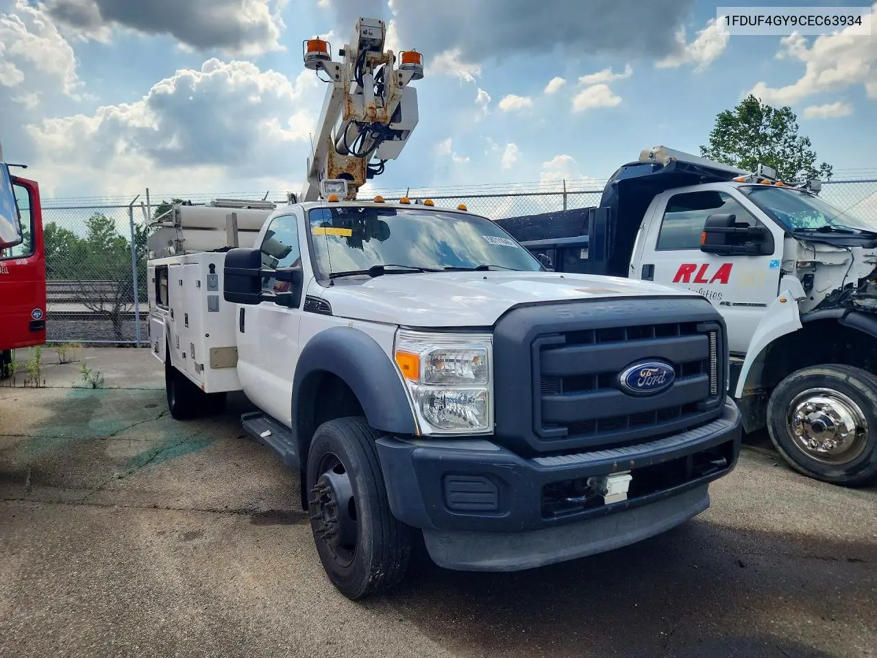 2012 Ford F450 Super Duty VIN: 1FDUF4GY9CEC63934 Lot: 58711646