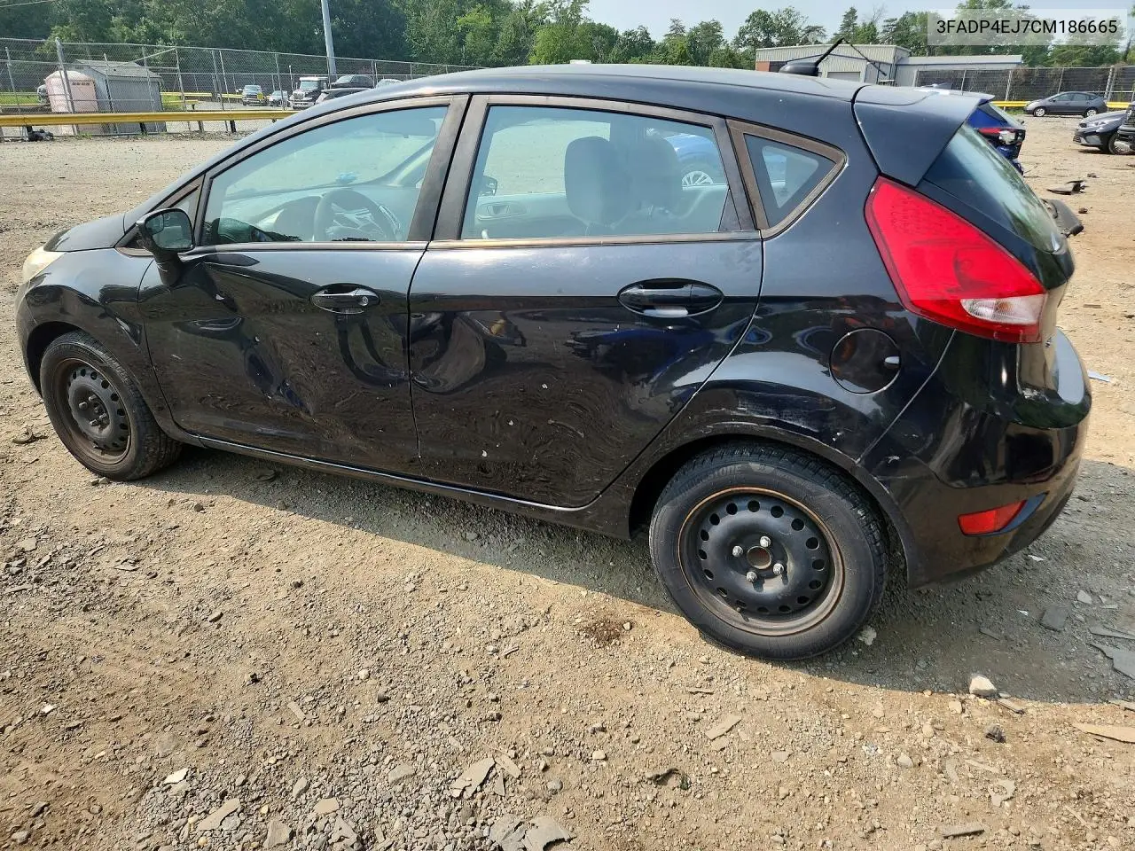 2012 Ford Fiesta Se VIN: 3FADP4EJ7CM186665 Lot: 60450776