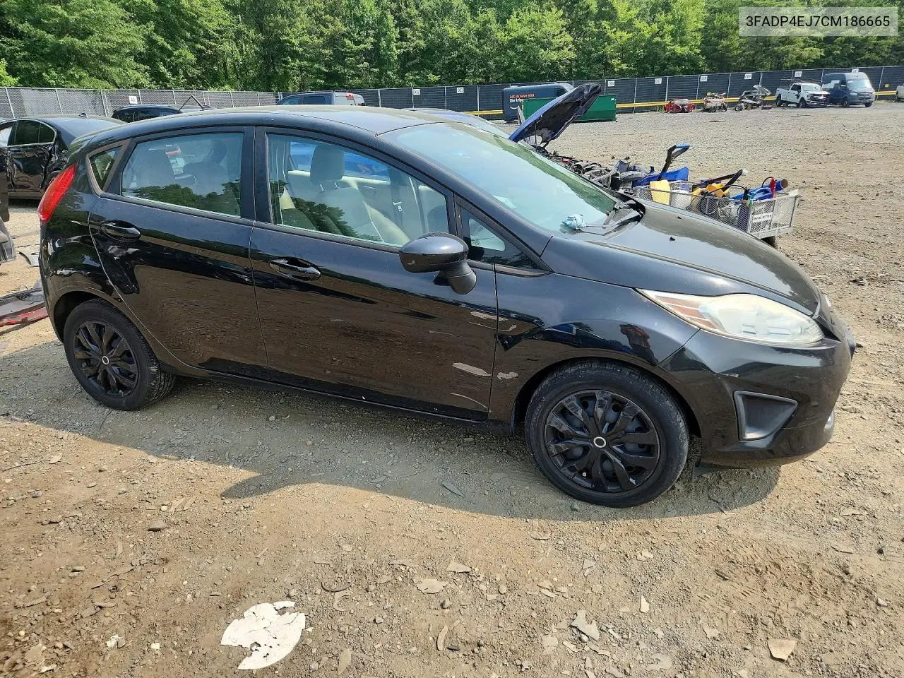 2012 Ford Fiesta Se VIN: 3FADP4EJ7CM186665 Lot: 60450776