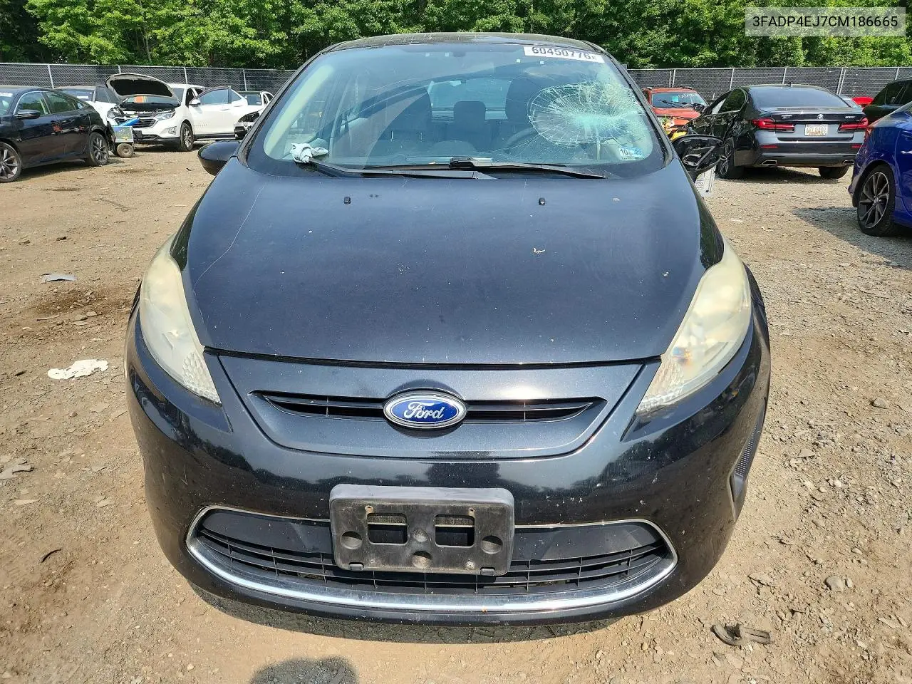 2012 Ford Fiesta Se VIN: 3FADP4EJ7CM186665 Lot: 60450776