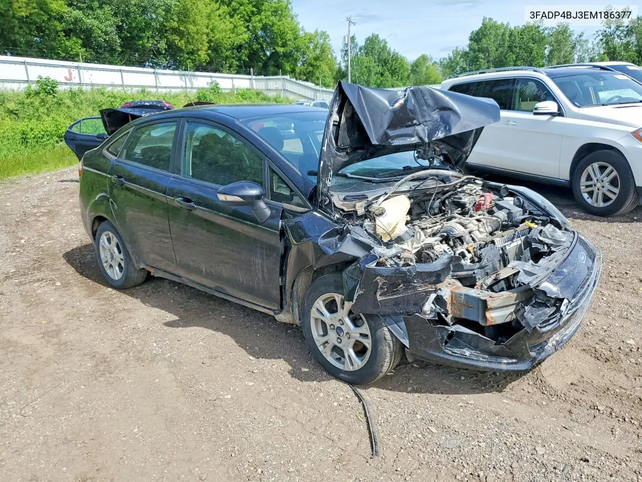 2014 Ford Fiesta Se VIN: 3FADP4BJ3EM186377 Lot: 56988516